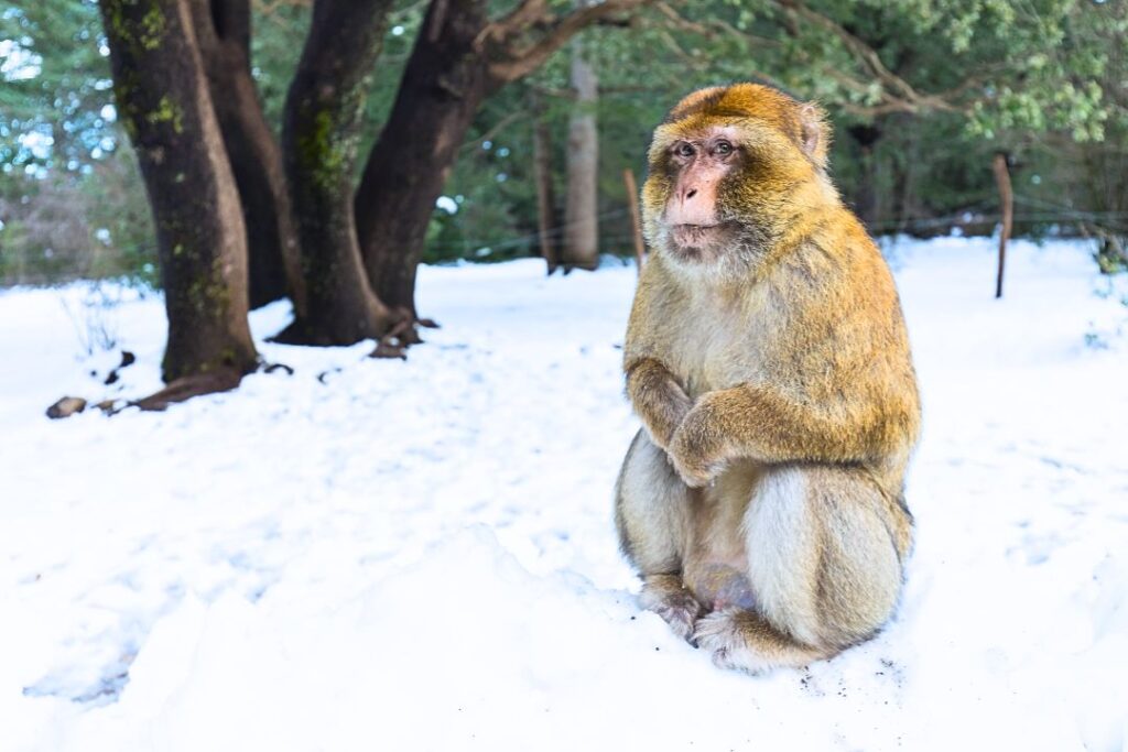 3 Days Fes to Merzouga Desert Tour